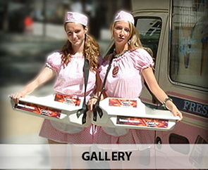 Our Gallery
